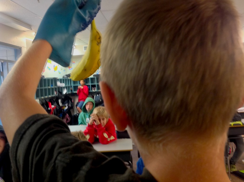 Eric Langton Class Lunchtime Waste Audit - October, 2013