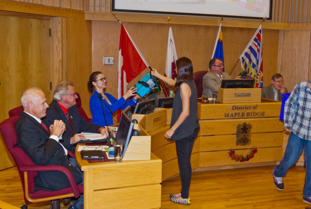 Council Meeting 2013