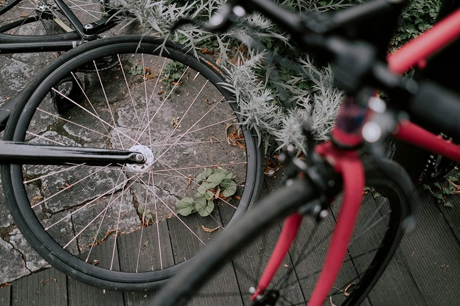 Red and black bicycle leaning against plants at Ridge Meadows Recycling Society.